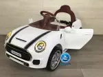 Miniatura 8