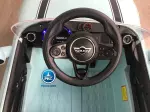 Miniatura 13