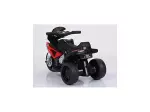Miniatura 9
