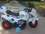Miniatura 8