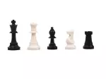 Miniatura 0