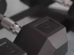 Miniatura 13