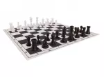 Miniatura 0