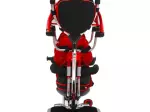 Miniatura 11