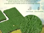 Miniatura 9