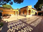 Miniatura 0