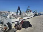 Miniatura 0