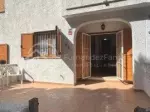 Miniatura 0