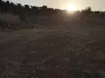 Miniatura 0