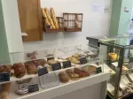 Miniatura 0