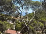 Miniatura 0