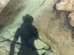 Miniatura 0