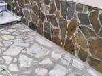 Miniatura 0