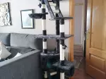 Miniatura 8