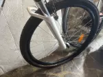 Miniatura 0