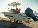 Miniatura 0