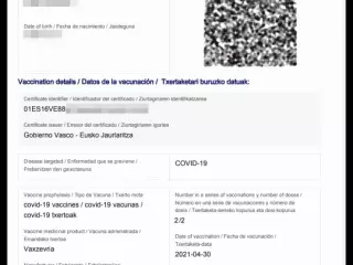 TRAMITES PASAPORTE/CERTIFICADO COVID, CITA SEPE, SUSIDIOS