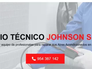 Servicio Técnico Johnson Sevilla 954341171