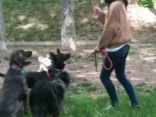 Cuidadora de perros Terrassa