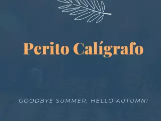 Peritos Caligrafos del norte