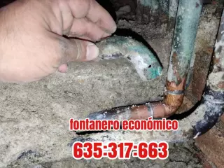 Fontanero económico