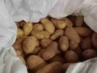 Patatas directas del campo