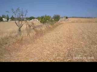 Torrejón del Rey Guadalajara venta 54.000 M2