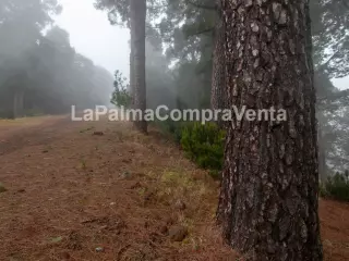 ID-446 Terreno para el cultivo con inclinación por estar en