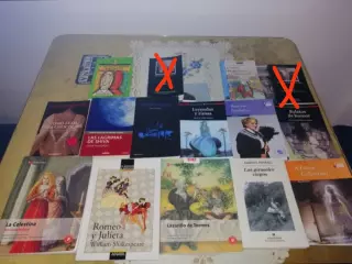Libros de lectura