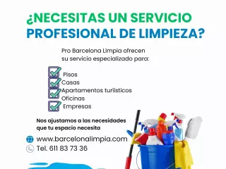 Buscas servicios de limpieza?
