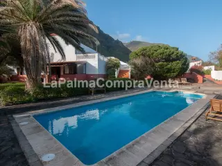 ID-397  Complejo  Turístico  5 apartamentos que comparten zo