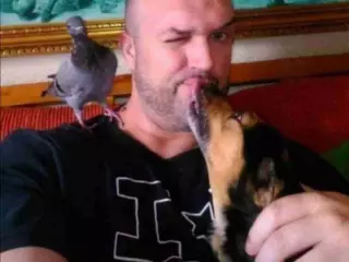 Servicios para animales