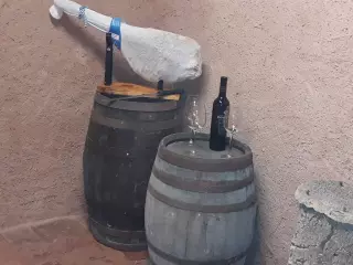 CASAS RURALES EN CIUDAD REAL. EL CAPRICHO DE ANDREA
