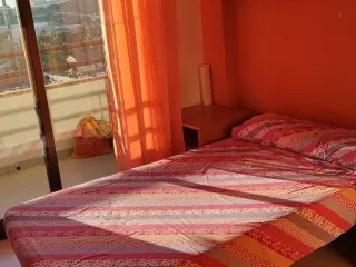 Alquilo habitación