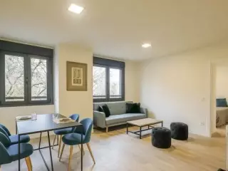 montadores de suelos laminados tarimas y frisos