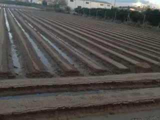 Me ofrezco para llevar tierras