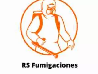 Fumigacion de chinches