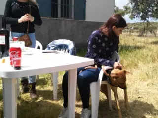 Venta Parcela de Recreo con Casa de Campo cerca de la Ribera Fresnedosa