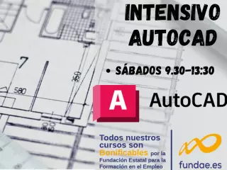 Curso intensivo de Autocad