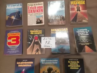 Lote n°12 - Enigmas - 11Libros