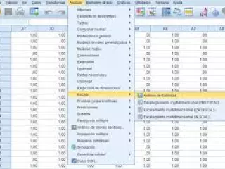 Necesitas instalar el programa spss y no lo encuentras