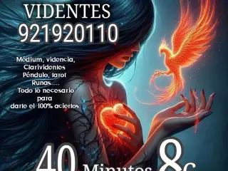 CONSULTA VIDENTES