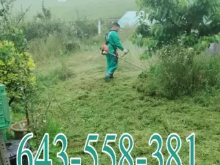 Mantenimiento desbroce poda de setos jardinero