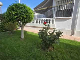 BUNGALOW PLANTA BAJA, 3 HABITACIONES, A 500 METROS DE LA PLAYA DE LA MATA EN TORREVIEJA