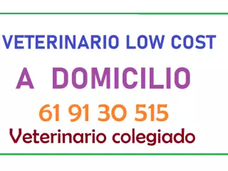 Veterinario con mas de 30 años de experiencia