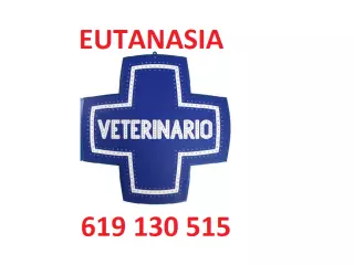 EUTANASIA DE ANIMALES a DOMICILIO