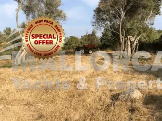 Rustic Building Plot