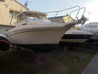 Rodman 790
