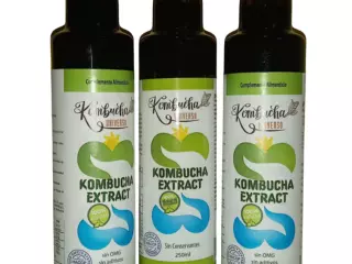 Pack 2+1 Extracto de Kombucha 750 ml 100% Natural