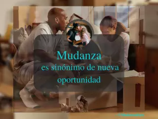 Mudanzas completas todo incluido
